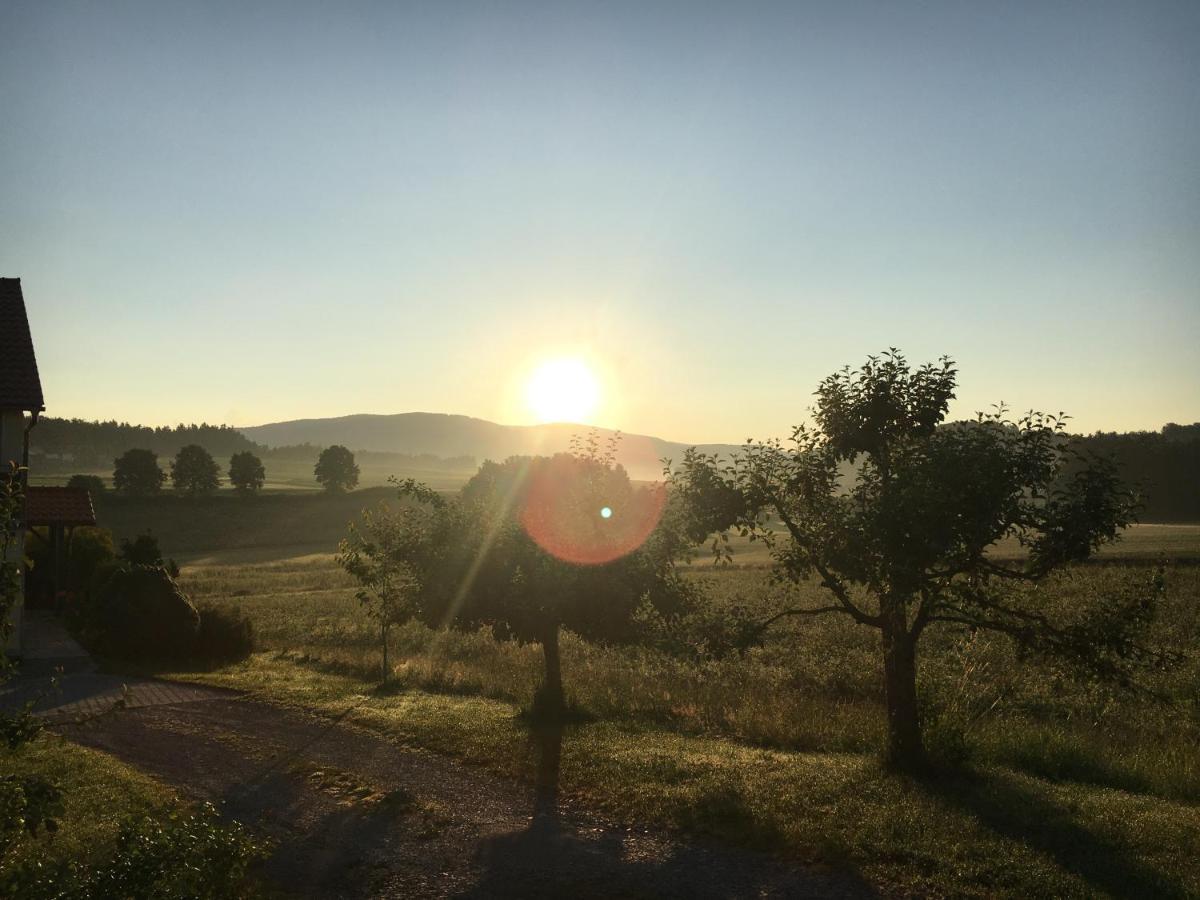 Ferienwohnung Im Idyll 1 Hengersberg Εξωτερικό φωτογραφία